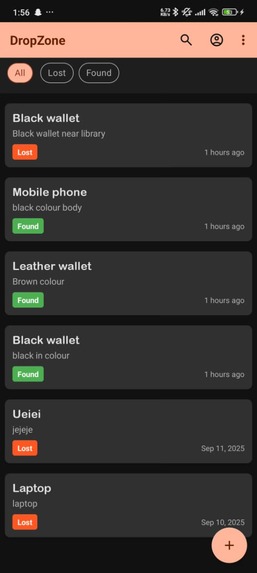 DropZone – screenshot 3