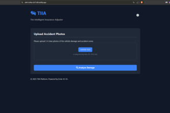 TIIA-The Intelligent Insurance Adjuster