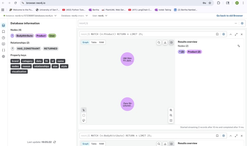 FitGraphThe Graph-Aware Fashion Agent – screenshot 2