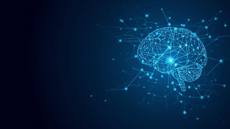 AI-Powered Alzheimer’s Language Insight Tool – screenshot 1