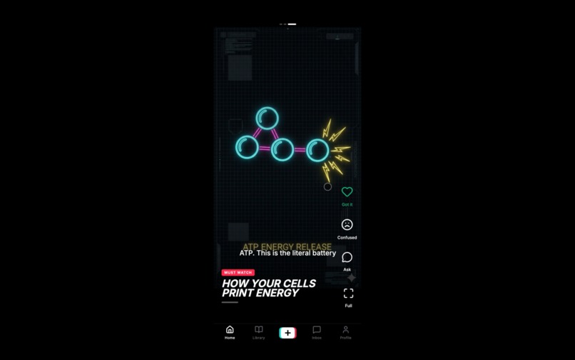 StudyTok – screenshot 4