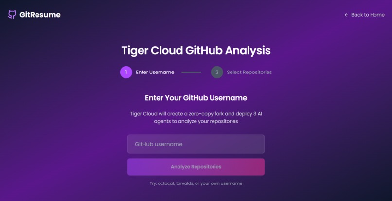 GitResume: Transform Your GitHub Into Professional Analysis – screenshot 6