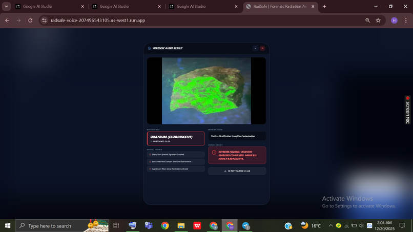 RADSAFE VOICE – screenshot 1