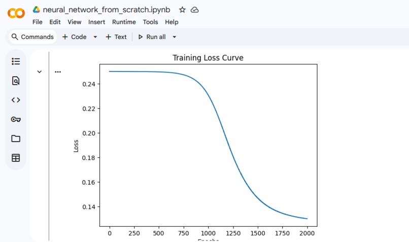 Neural Network From Scratch – screenshot 2