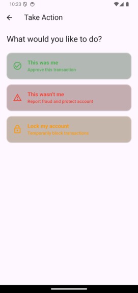 Fraud Sentinel – screenshot 4