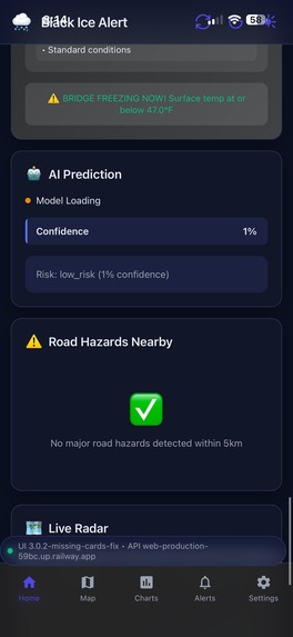 Black ice detection – screenshot 7