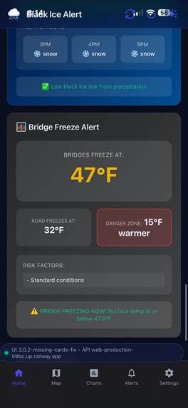 Black ice detection – screenshot 4