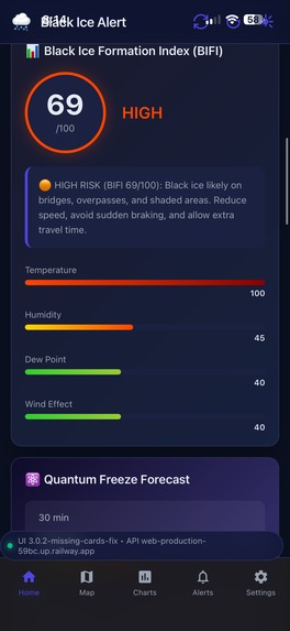 Black ice detection – screenshot 2