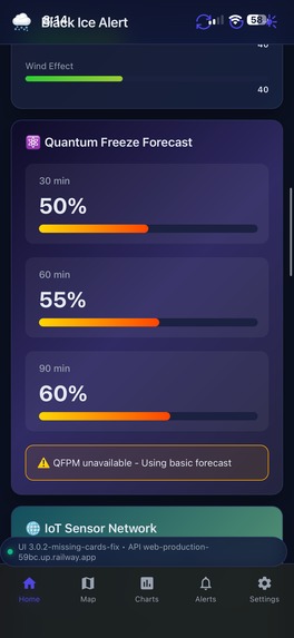 Black ice detection – screenshot 3