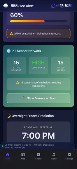 Black ice detection – screenshot 9