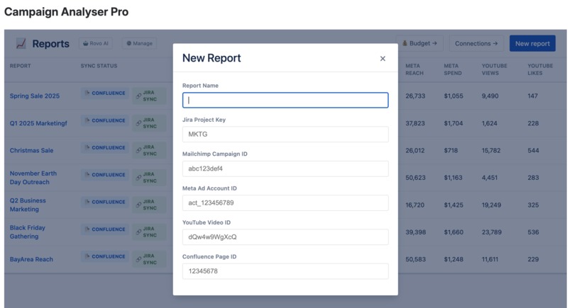 CampaignAnalyzerPro – screenshot 3