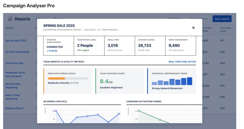 CampaignAnalyzerPro – screenshot 6