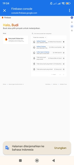 MicroLoan AI Guardian: Real-Time Cash Flow Predictor   – screenshot 2