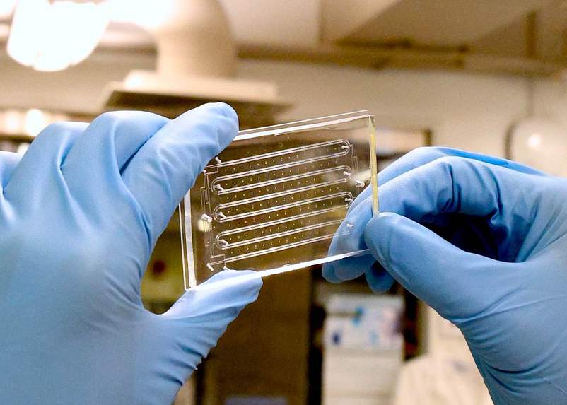 Pervaporation-Driven Microfluidics for Crystal Nucleation – screenshot 1