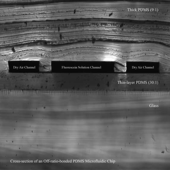 Pervaporation-Driven Microfluidics for Crystal Nucleation – screenshot 2