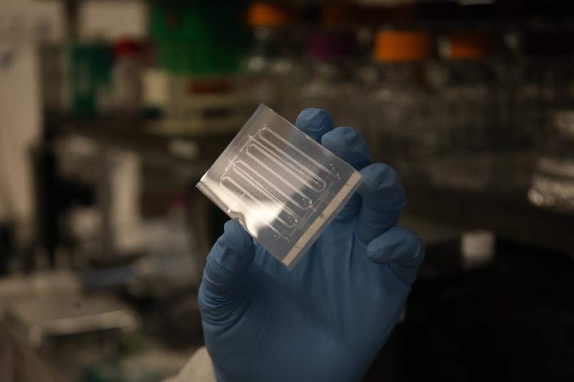 Pervaporation-Driven Microfluidics for Crystal Nucleation – screenshot 3