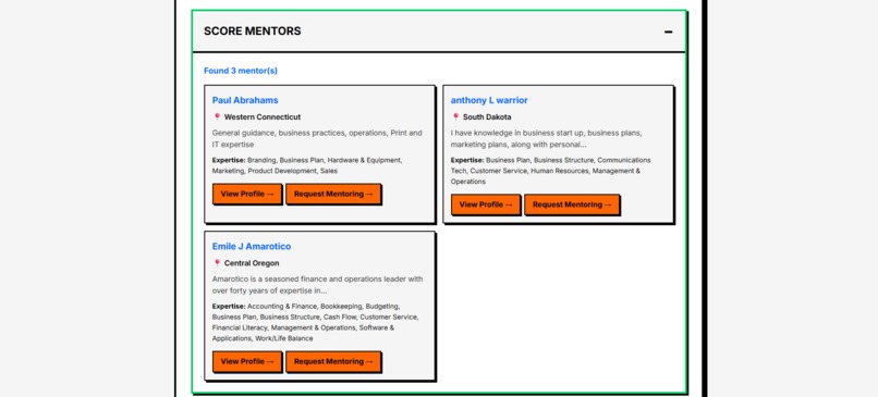 BizLaunch Navigator – screenshot 3
