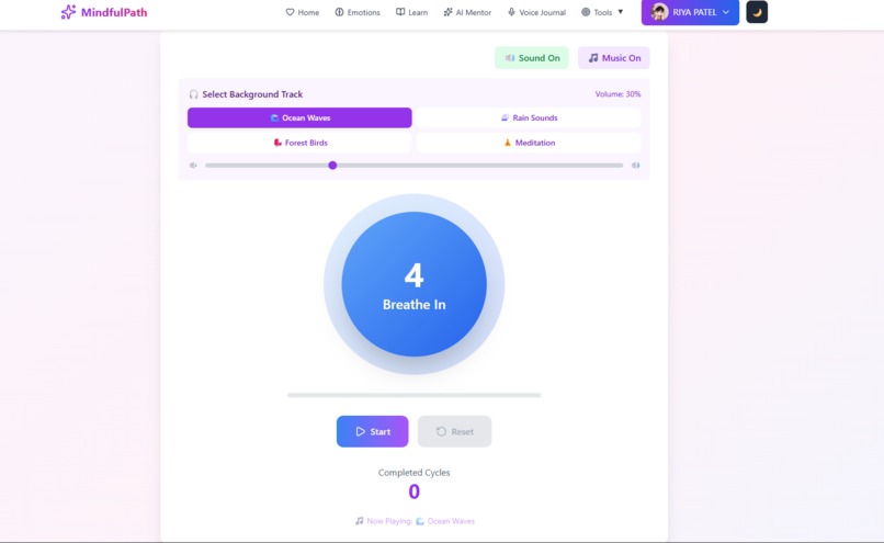 mindfulpath – screenshot 11