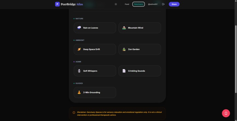 PeerBridge Atlas  – screenshot 4