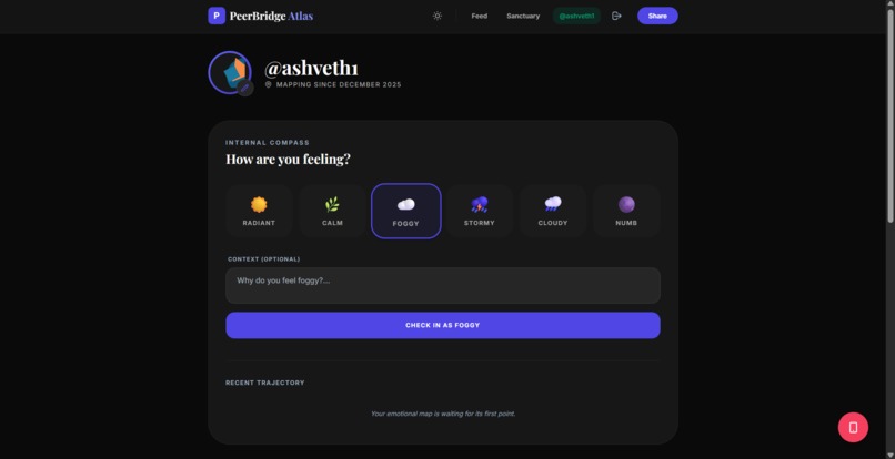 PeerBridge Atlas  – screenshot 6