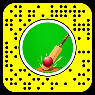 Cricket run – screenshot 1