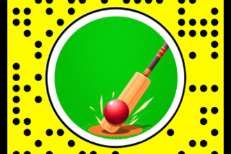 Cricket run