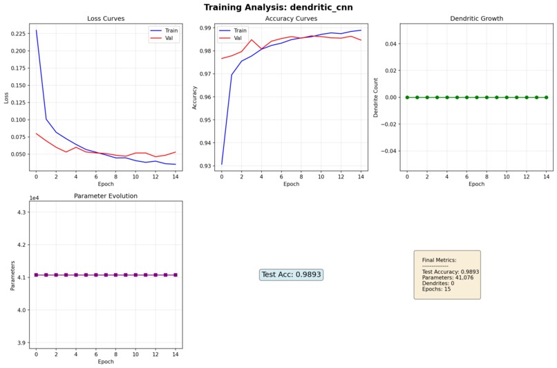 SynapSparse – screenshot 2