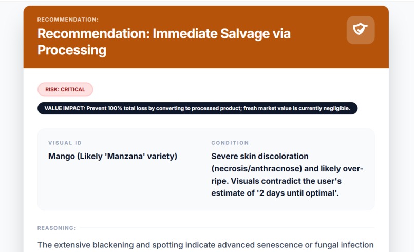 Don Patio: Post-Harvest Decision Agent for Fruit Producers – screenshot 6