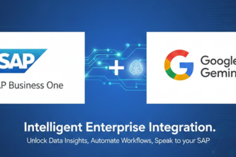 SAP Business One - Gemini Integration
