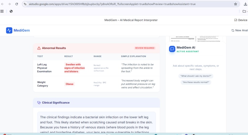 MediGem: AI-Powered Medical Report Interpreter – screenshot 3