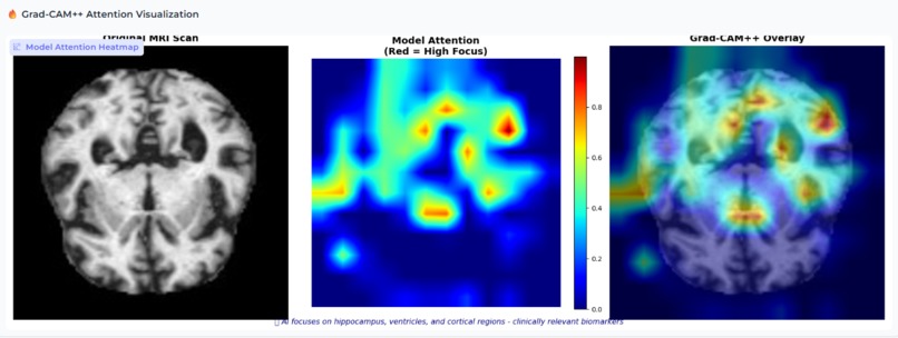 CogniPredict – screenshot 4