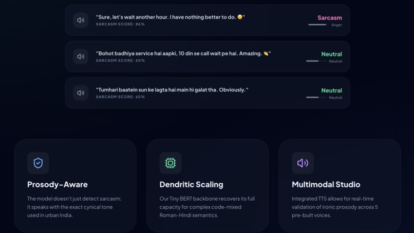 Sarcasm Vibe Detector  – screenshot 2