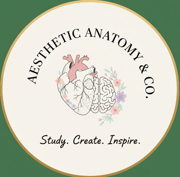 The Creator-to-Clinical Pipeline – screenshot 5