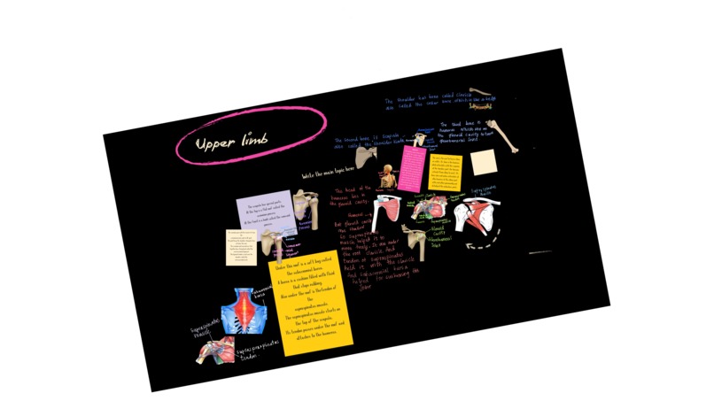 The Creator-to-Clinical Pipeline – screenshot 7