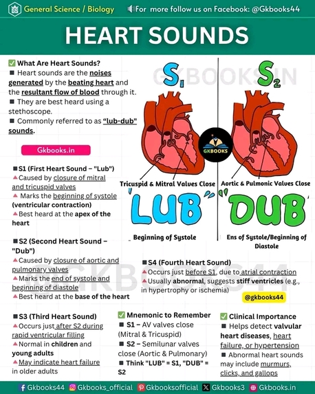 The Human Heart Works – screenshot 10