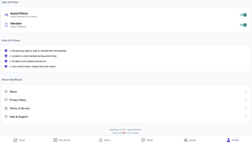 Bayroute AI Project – screenshot 7