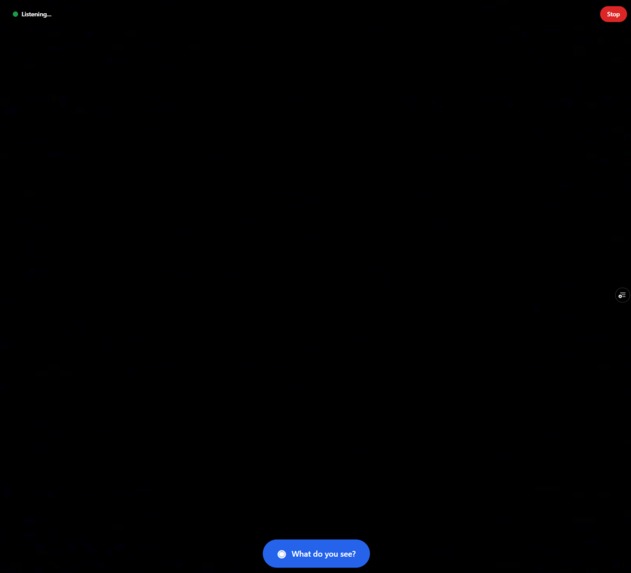 VisionVoice – screenshot 2