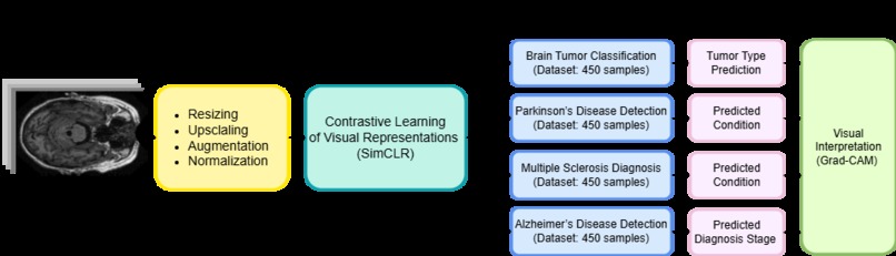 SSL for Alzheimers – screenshot 2