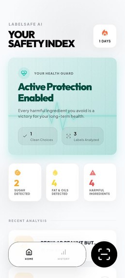 LabelSafe AI: A Beginner-Friendly Ingredient Safety Analyzer – screenshot 2