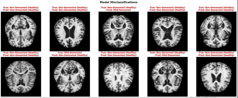 BrainGuard – screenshot 9