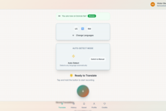 Main Translation Interface