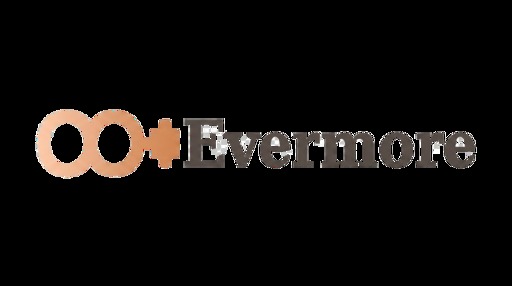 Evermore – screenshot 1