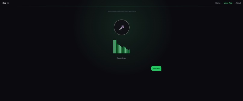 ORA (Oral responsive Assistant) – screenshot 5