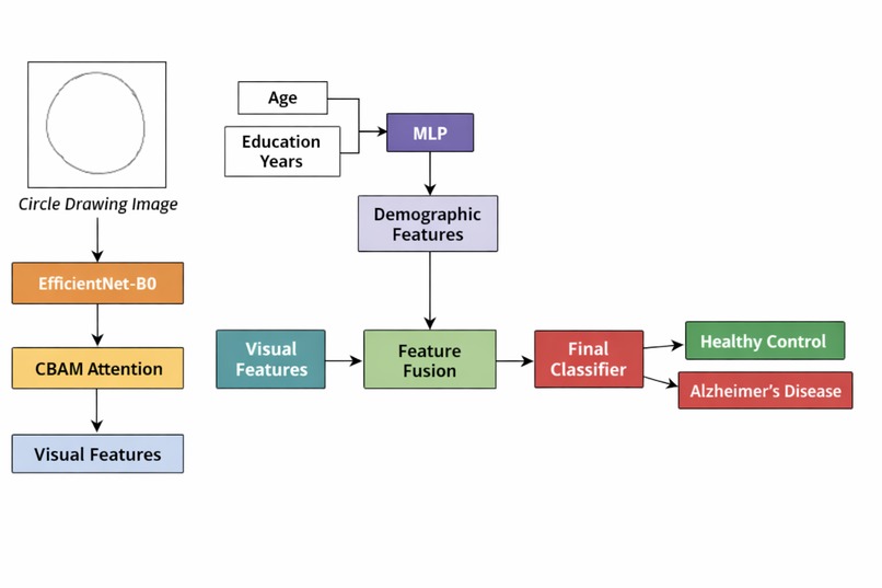 Alzheimer’s Detection from Handwritten Drawings  – screenshot 1