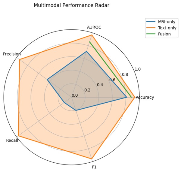 MRI and Language Based Dementia Evaluation and Risk Scoring – screenshot 2