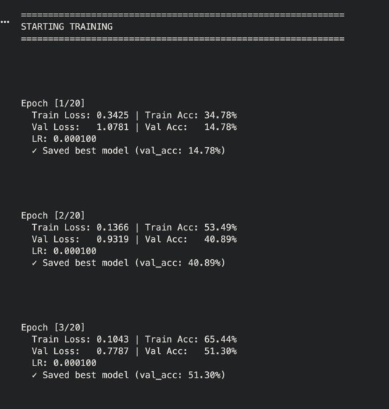 Early Alzheimer's Detection AI – screenshot 1