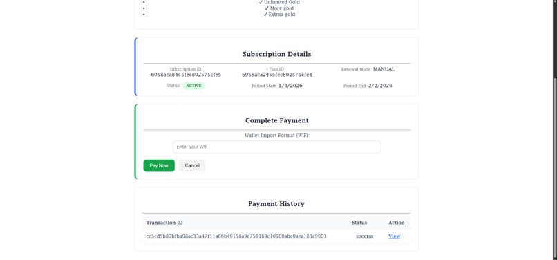 Rapyd MNEE – screenshot 6