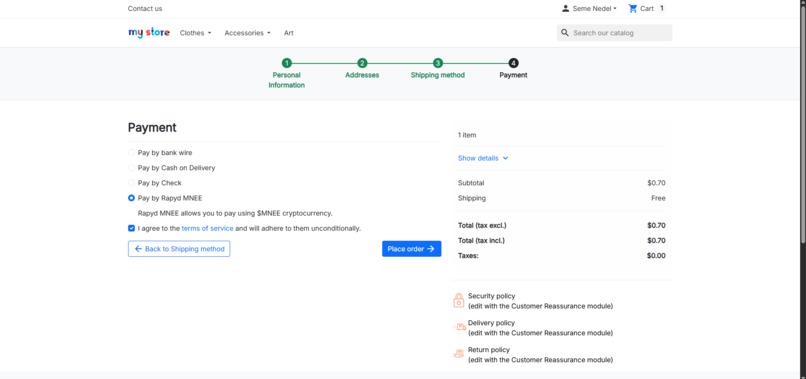 Rapyd MNEE – screenshot 7