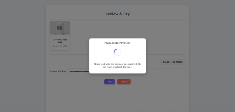 Rapyd MNEE – screenshot 4