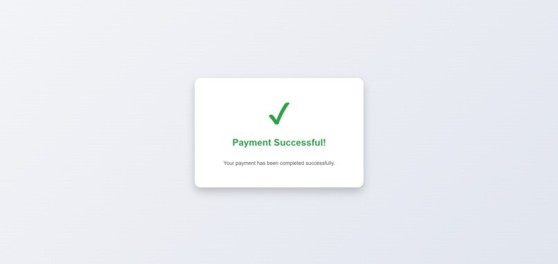 Rapyd MNEE – screenshot 5